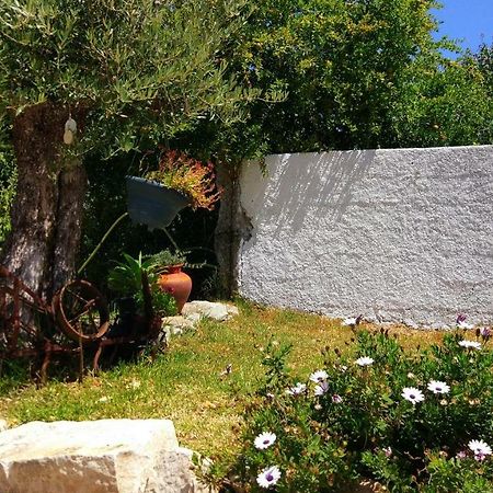 Louro'S Villa - 12130Al カンタニェデ エクステリア 写真